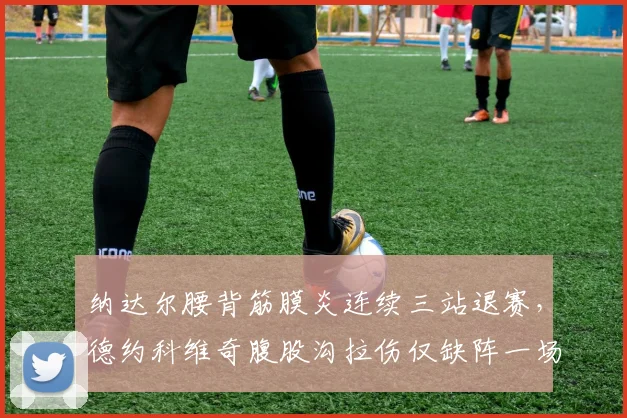 纳达尔腰背筋膜炎连续三站退赛，德约科维奇腹股沟拉伤仅缺阵一场便归队